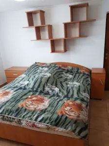 Casă 4 camere Timișoara - poza 2