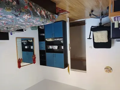 Casă 5 camere, curte și garaj în Complexul Studențesc din Timișoara - Timisoara