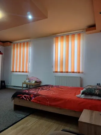 Casă 5 camere Timișoara - poza 12