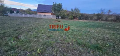 Teren Ighiu - poza 12