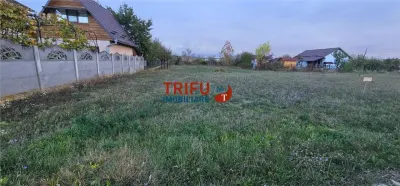 Teren Ighiu - poza 3