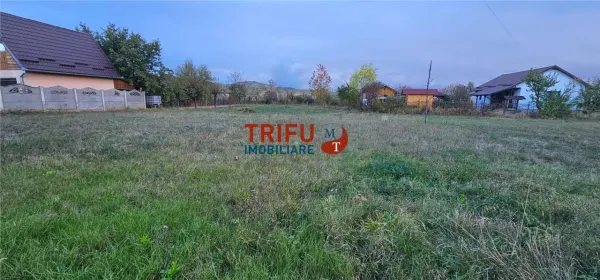 Teren Ighiu - poza 6
