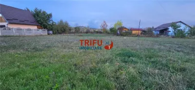 Teren Ighiu - poza 6