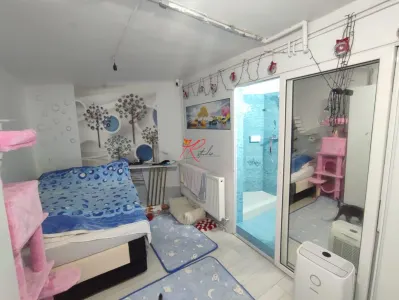Apartament 2 camere București - poza 2