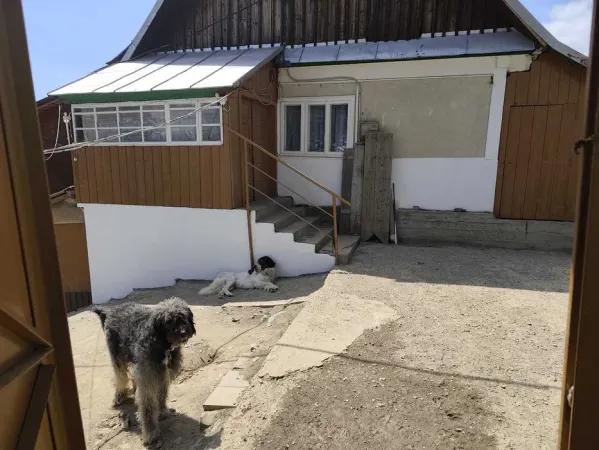 Casă 4 camere Arieseni - poza 1