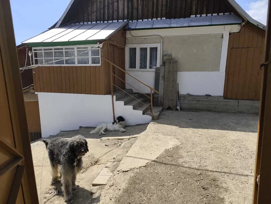 Casă 4 camere Arieseni - poza 1