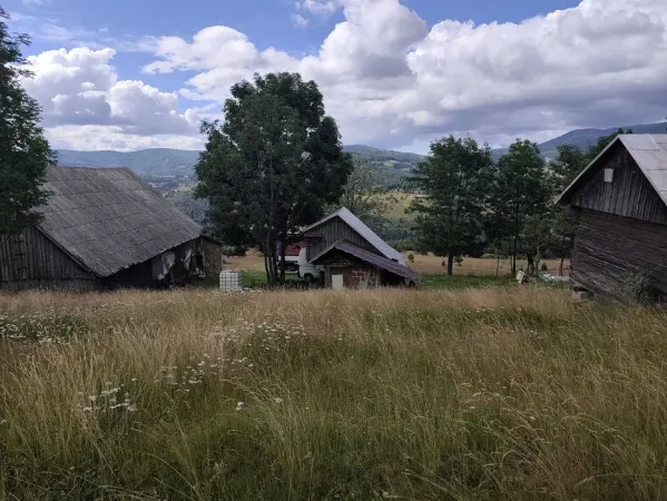 Casă 4 camere Arieseni - poza 4