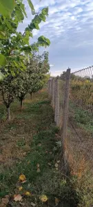 Casă 3 camere Râmnicu Sărat - poza 5