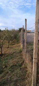 Casă 3 camere Râmnicu Sărat - poza 8
