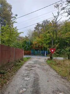Casă 4 camere Paun - poza 2