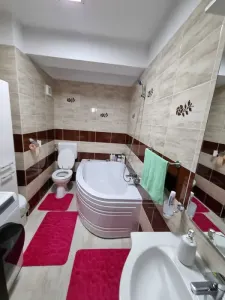Apartament 3 camere Rosu - poza 5
