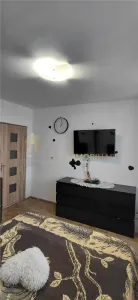 Apartament 2 camere Cluj-Napoca - poza 12