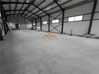 Spațiu industrial Suceava - poza 3