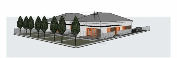 Casă 3 camere Moșnița Nouă - poza 3
