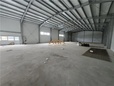 Spațiu industrial Șcheia - poza 3