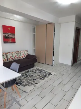 Apartament 1 camera Iași - poza 2