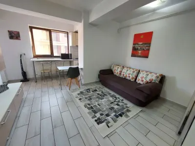 Apartament 1 camera Iași - poza 3