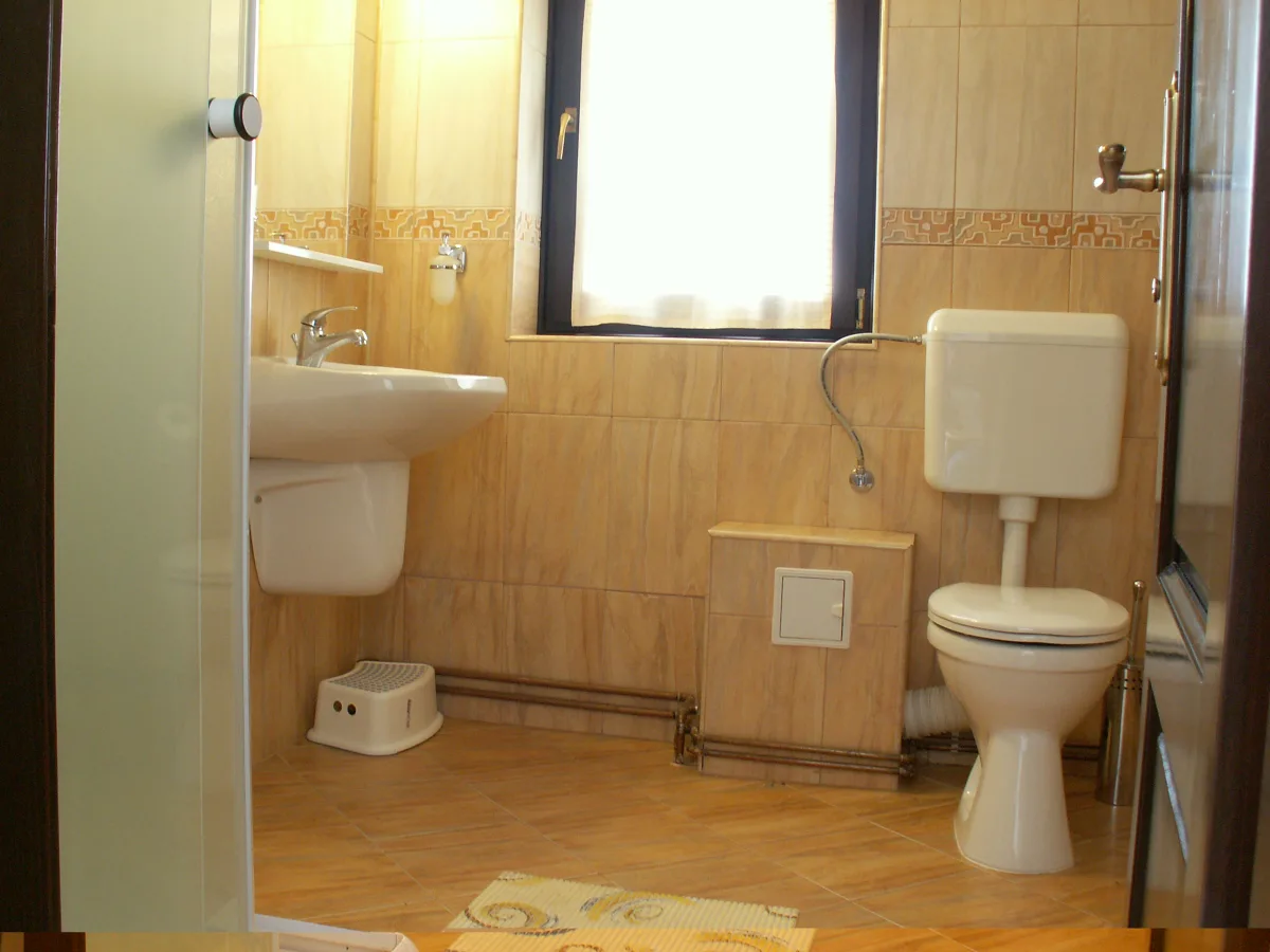Casă 9 camere Dobreni - poza 3