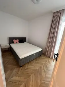 Apartament 3 camere Baia Mare - poza 7