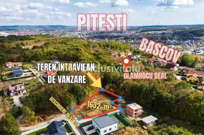 Teren Bascov - poza 3