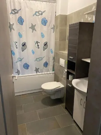 Apartament 2 camere Giroc - poza 4