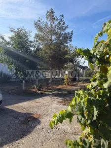 Casă 4 camere Uivar - poza 17