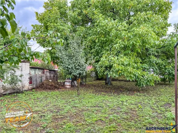Casă 3 camere Sfântu Gheorghe - poza 22