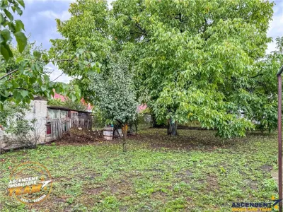 Casă 3 camere Sfântu Gheorghe - poza 22