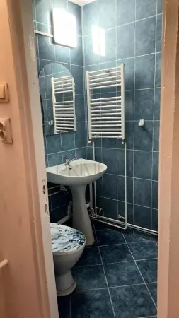 Apartament 1 camera Timișoara - poza 8
