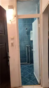 Apartament 1 camera Timișoara - poza 9