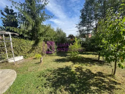 Casă 4 camere Sadu - poza 3