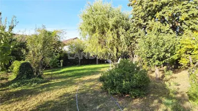 Casă 8 camere Dumbrăvița - poza 30