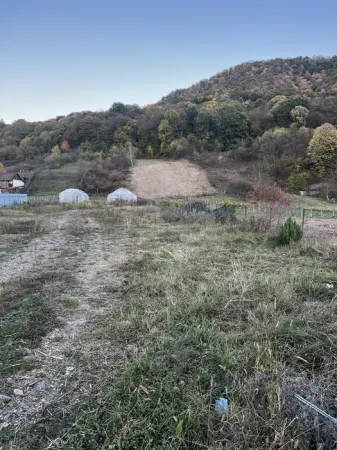 Teren Călimănești - poza 3
