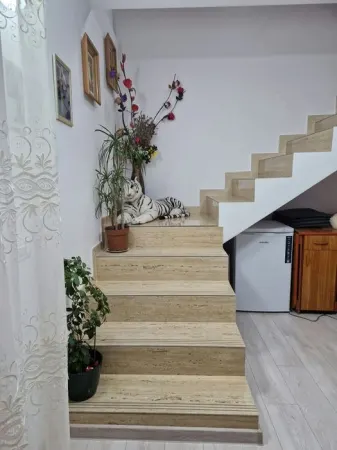 Casă 3 camere Beba Veche - poza 3