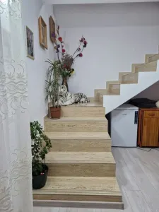 Casă 3 camere Beba Veche - poza 3
