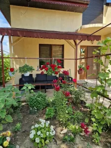Casă 3 camere Beba Veche - poza 5