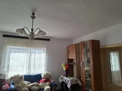 Casă 2 camere Bocsig - poza 7