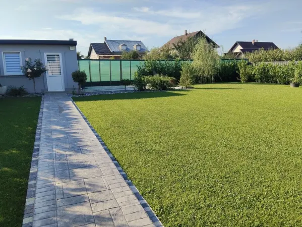 Casă 4 camere Darmanesti - poza 6