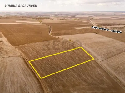 Teren Cetariu - poza 3