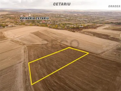 Teren Cetariu - poza 7