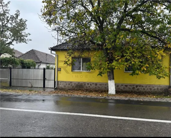 Casă 8 camere Tinca - poza 1