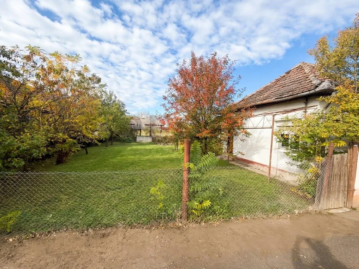 Casă 3 camere Ianca - poza 1