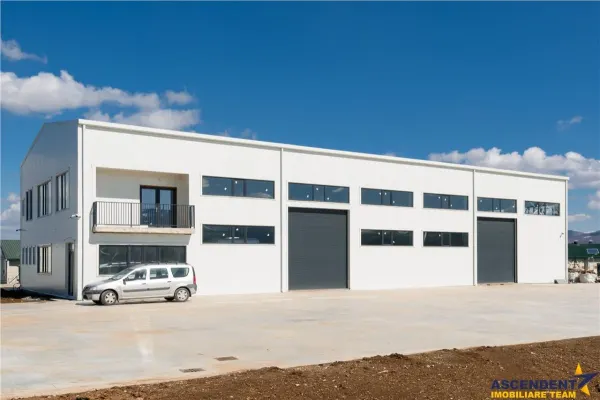 Spațiu industrial Carpinis - poza 2