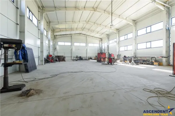 Spațiu industrial Carpinis - poza 13