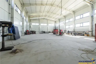 Spațiu industrial Carpinis - poza 13