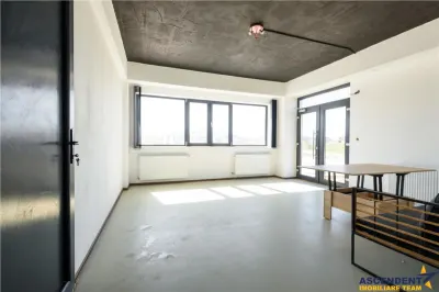 Spațiu industrial Carpinis - poza 16