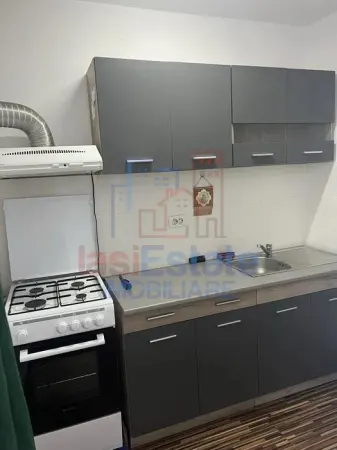 Apartament 1 camera Iași - poza 4