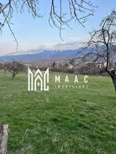 Teren extravilan de vânzare | Tălmaciu | 6.000 mp - Talmaciu