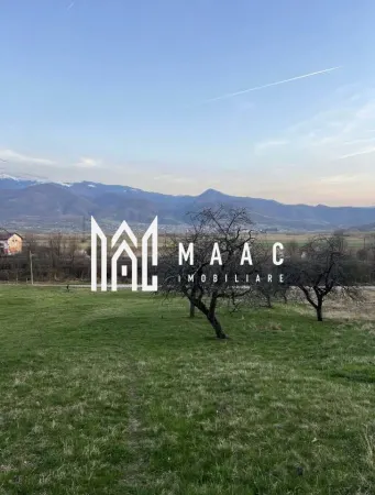 Teren Tălmaciu - poza 3