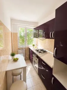 Apartament 2 camere Timișoara - poza 6
